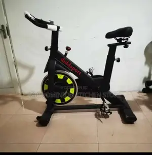 Professional Gym Stationary Bike