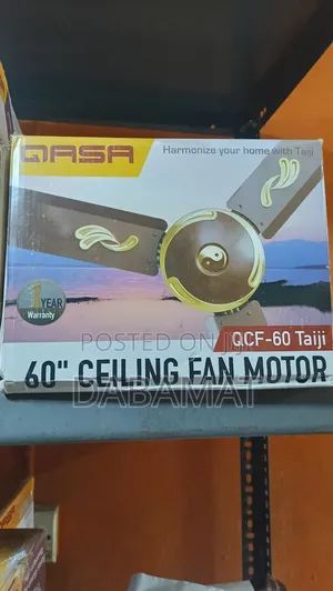 Qasa 60 Inches Long Blade Ceiling Fan