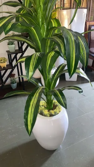 Flower Pot
