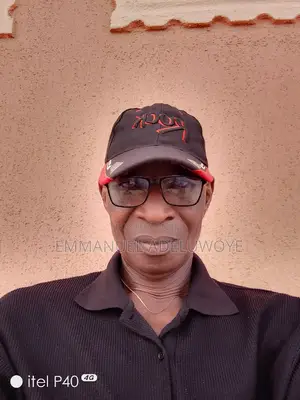Mr. Emmanuel Adeluwoye Princeodole