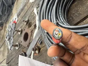 2.5mm 5core PVC German Armored Cable