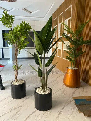 Plant and Flowers Pot