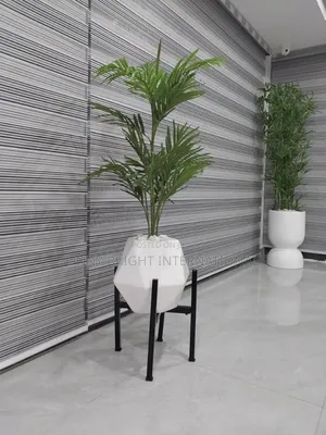 Plant and Flowers Pot