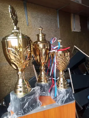 Trophy Cup Dag34