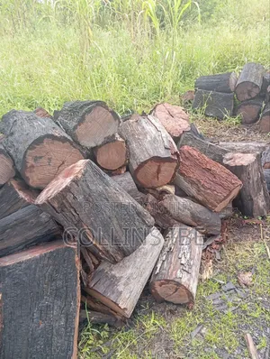 Ukpi Firewood
