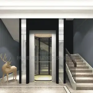 Luxury Glass Residential Elevator