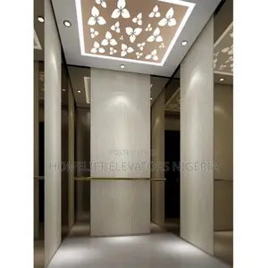 Glass Residential Elevator