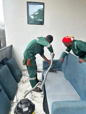 Sofa/Chair Cleaning