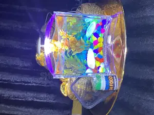 Tabletop Aquarium Bowl Complete Setup