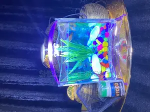 Tabletop Aquarium Bowl Complete Setup