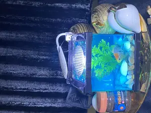 Tabletop Aquarium Fish Bowl
