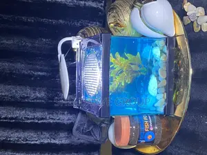 Tabletop Aquarium Fish Bowl
