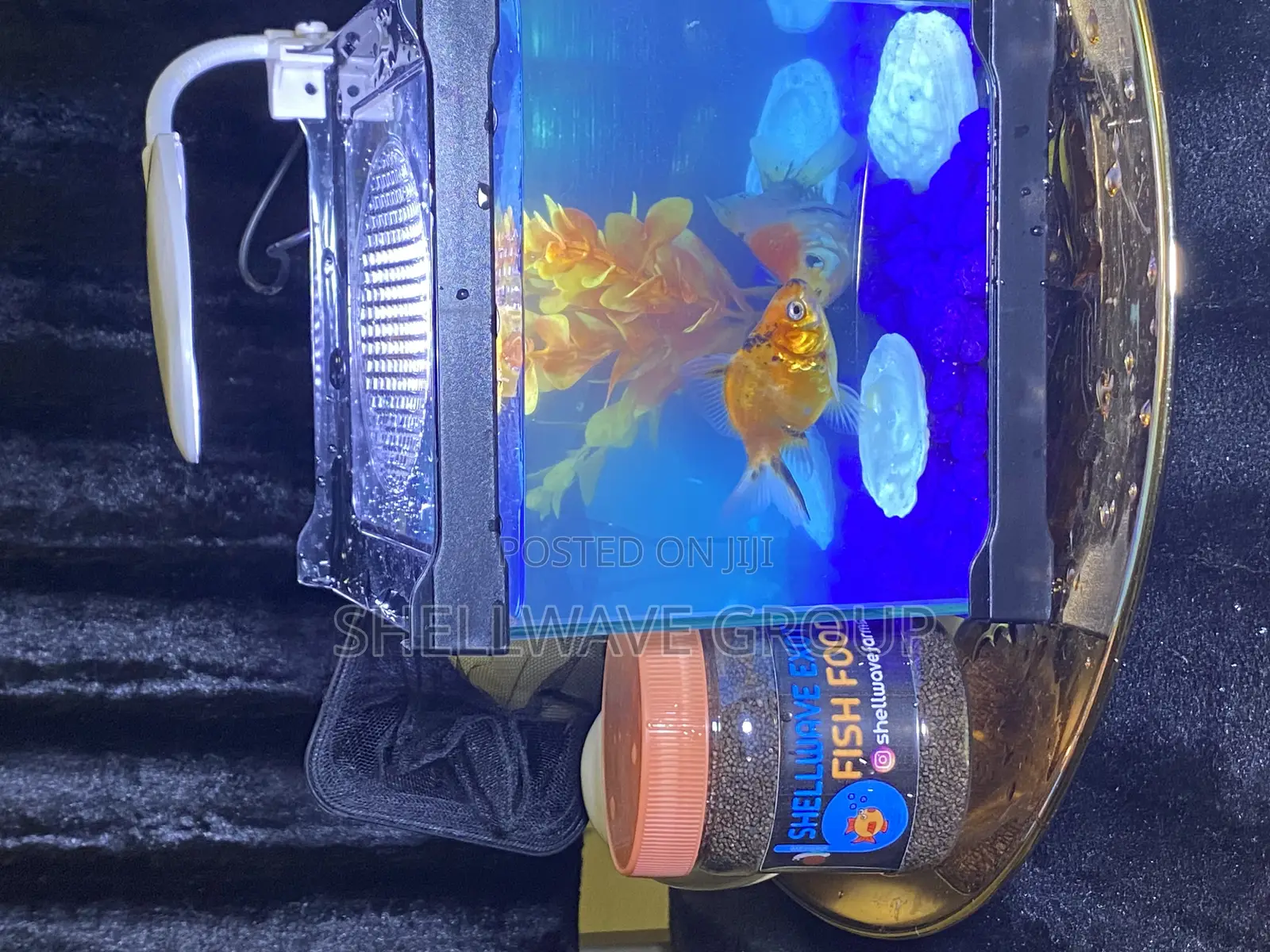 Tabletop Aquarium Fish Bowl
