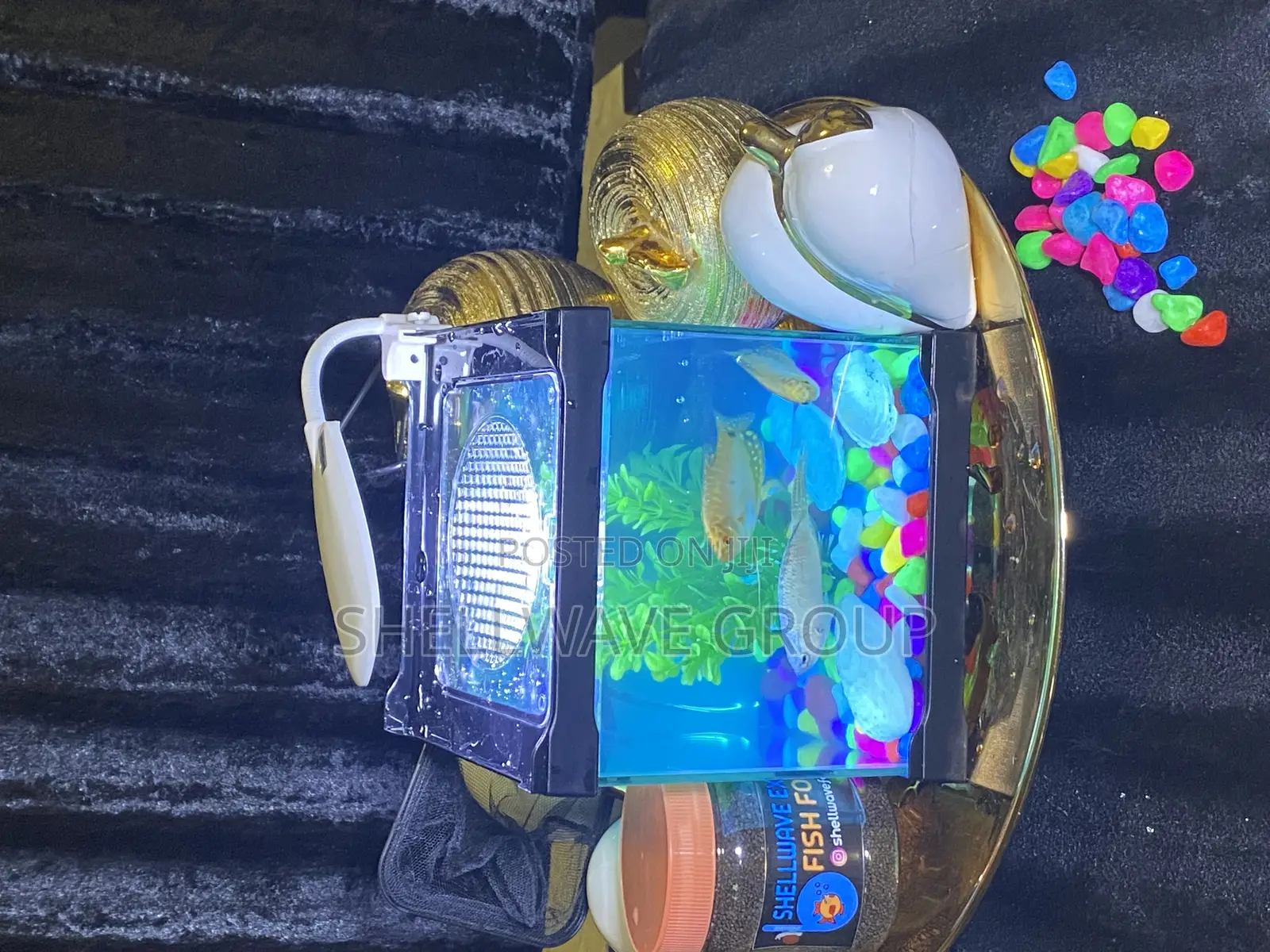 Tabletop Aquarium Fish Bowl