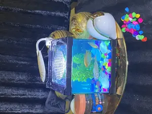 Tabletop Aquarium Fish Bowl