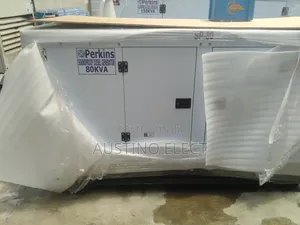 Tested and Trusted Perkins Soundproof Generator