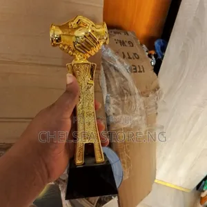 Trophies With Amazing Styles Dag12