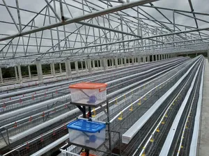 High Quality Battery Cage for Farmers