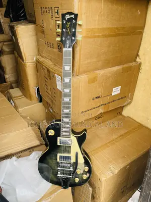 Professional Gibson Guitar