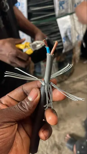 2.5mmx2core Armored Cable Bicc