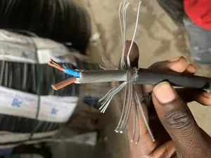 2cx2.5mm Armored Copper Cables