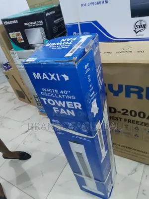 Original Maxi Fan at Affordable Rate