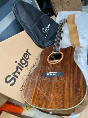 Sm-413 41" Single-Cut Semi-Acoustic Guitar.