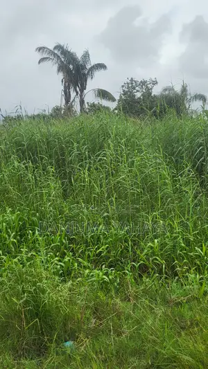 Half Plot of Land Harmony Estate Off Badore Road Oke-Ira