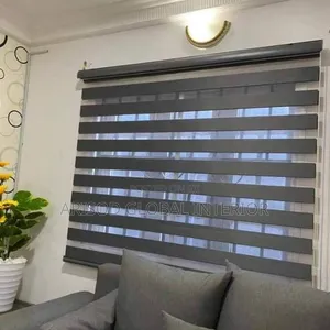 Sleek Elegant Window Blinds