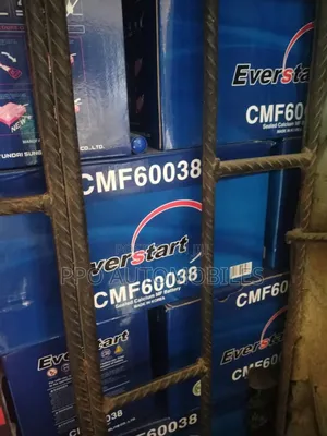 12v 100ah Everstart Maintainance Free Battery.