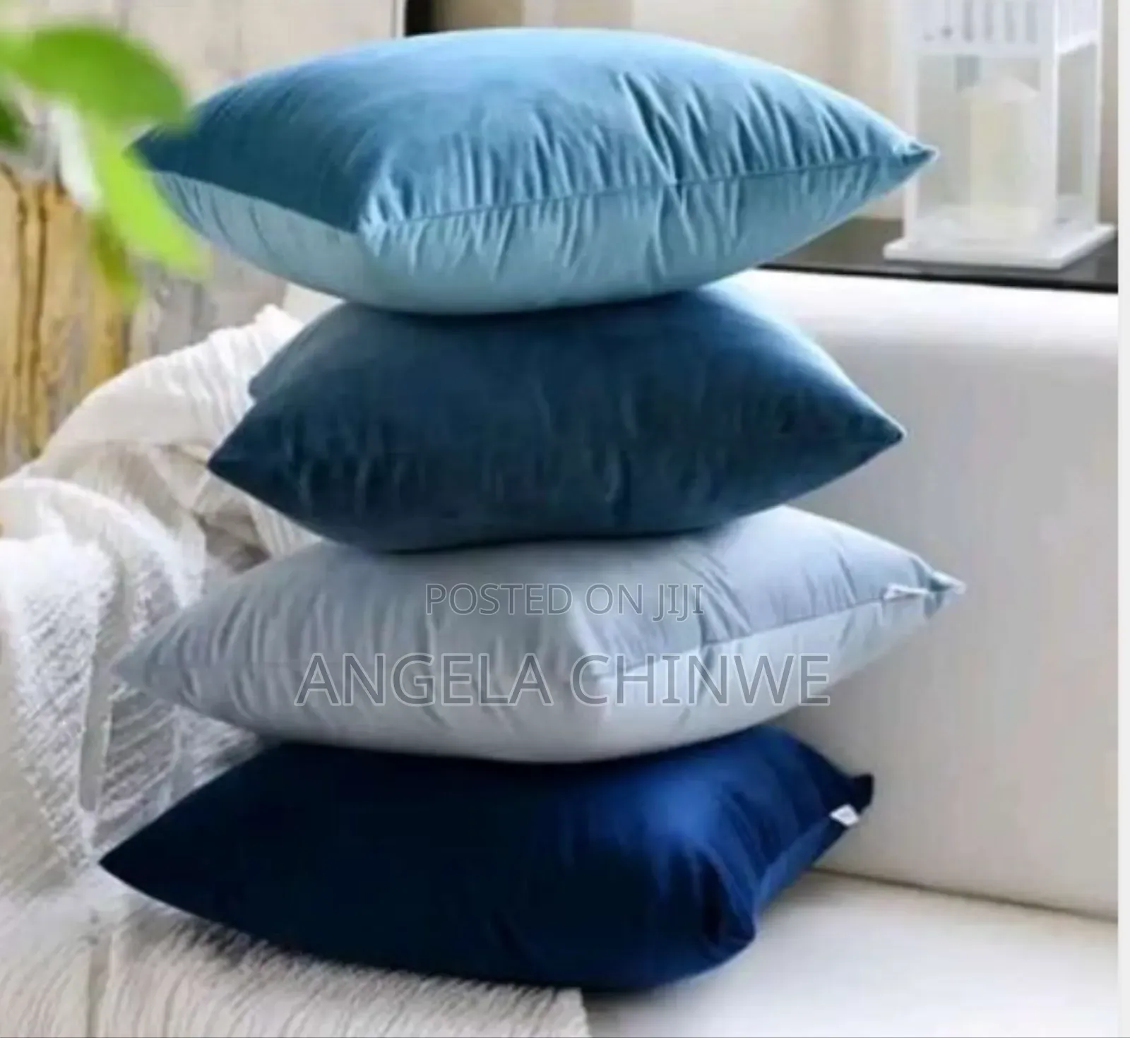 Throw Pillows