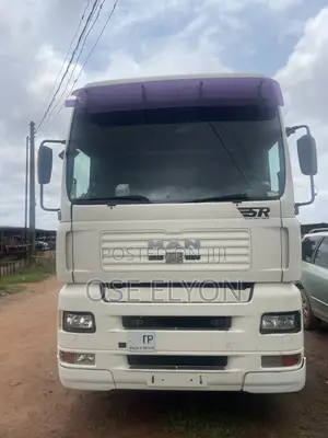 Man Tga Head