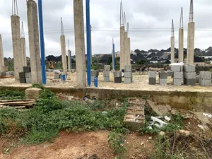 Building Engineer