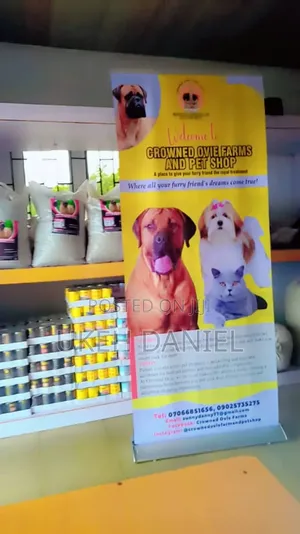 Quality Dog Food for Your Dogs