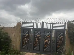 Anti Rust Concertina Wire: Security Razor Wire