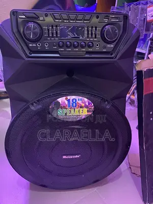 Meirende 18-Inch Professional Audio Speaker