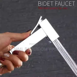 Stainless Hand Spray Showers