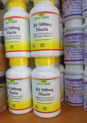 Nature's Field B3(Niacin) 500mg X 100 Tablets
