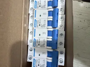 63a Mandy Dc Circuit Breaker 2pole
