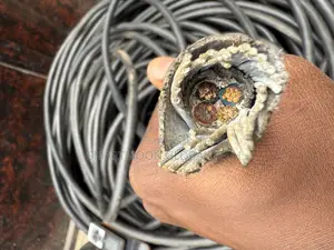 10mm 4core Armored Cable Ms and Wires