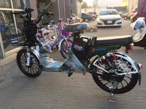 Gofun Electric Bicycle