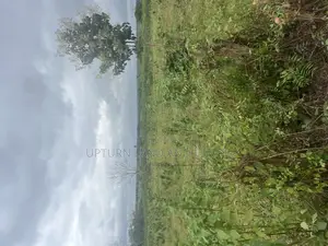 10,000 Acres Land for Sale Along Lagos Ibadan Expressway at Cheaper
