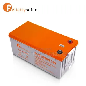 Felicity 200ah Gel Battery