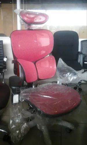 Ergonomic/ Orthopedic Mesh Chair