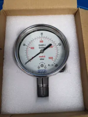 4" Gauge 160mbar