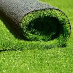 Grass. Carpet