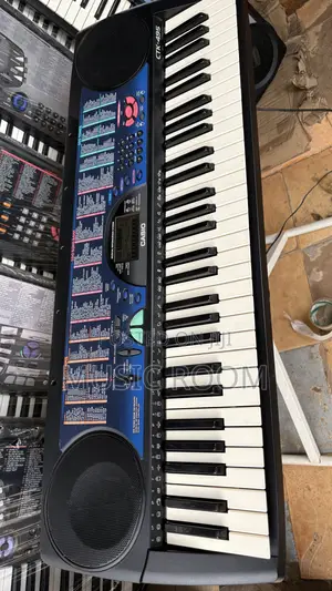 Standard Casio CTK 495 Keyboard