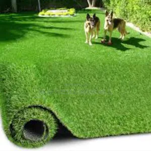 Quality Grass Carpet And Rugs