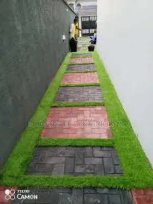Carpet Grass