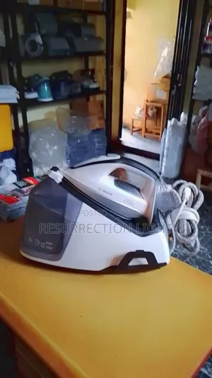 Powerful Bosch Industrial Steam Iron for Professionals